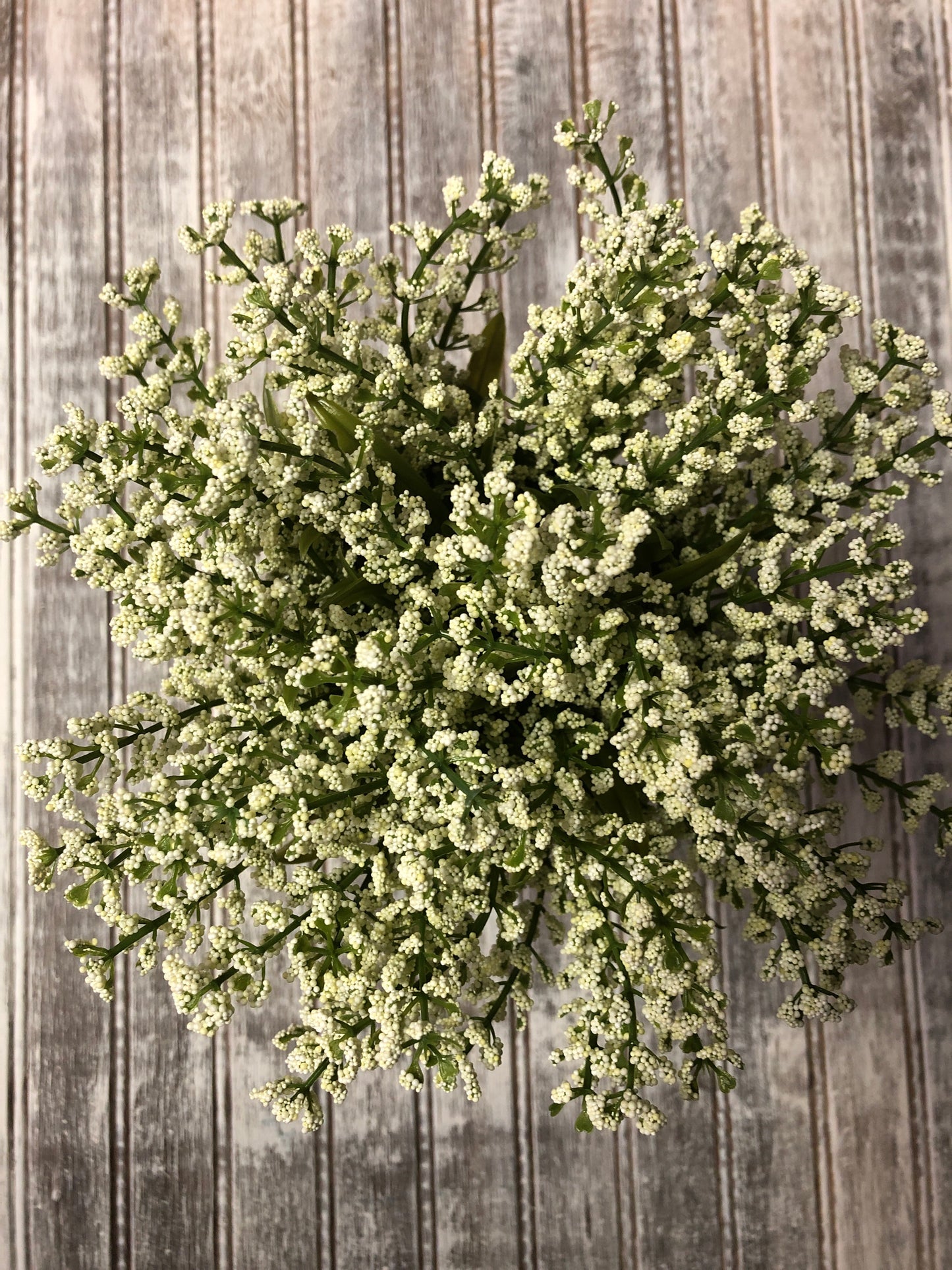 Bursting Astilbe Plop Bush