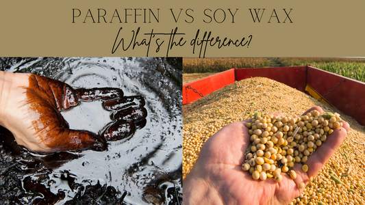 paraffin vs soy wax candles what's the difference
