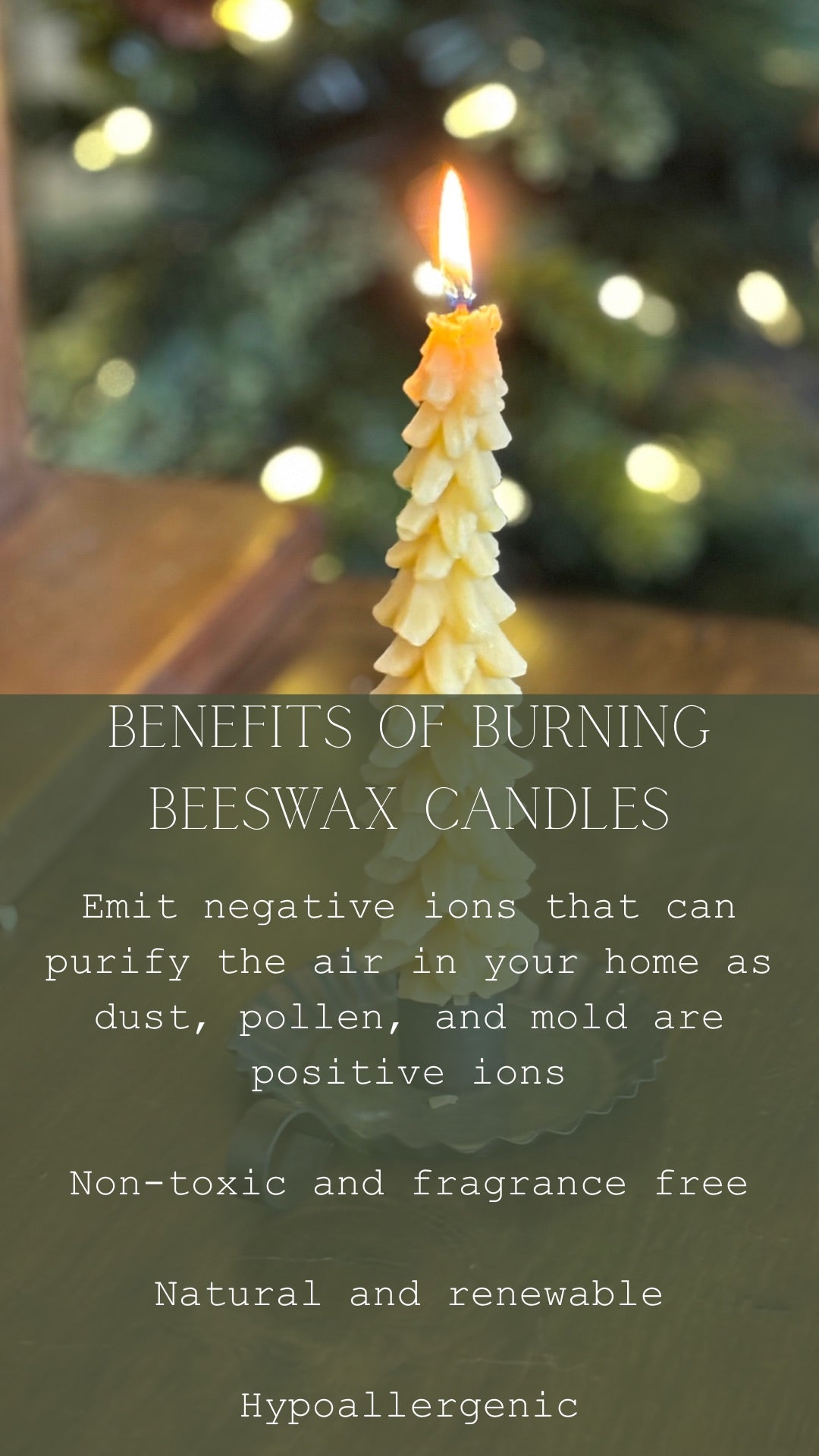 Pure Beeswax Fir Taper Candle- BOGO 50% OFF!